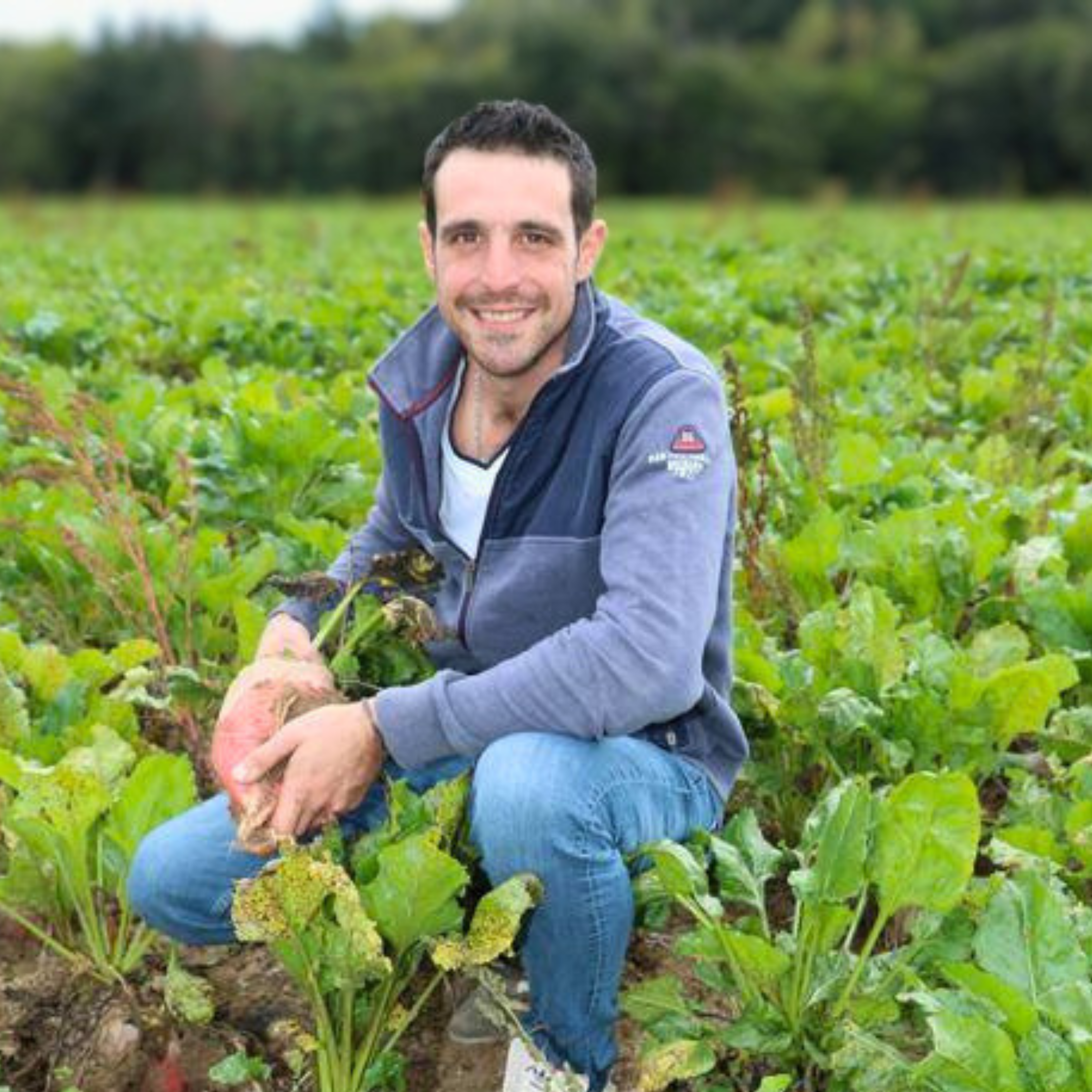 Jérôme BEAUCHAMPS 